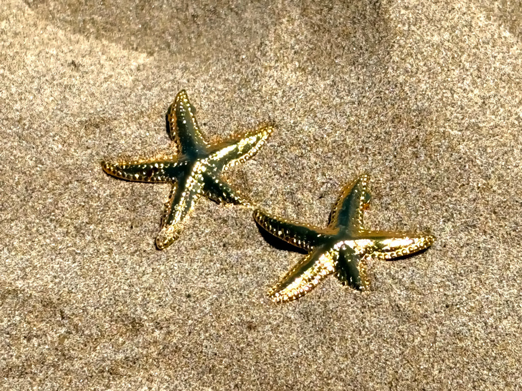 Pendientes Bahía
