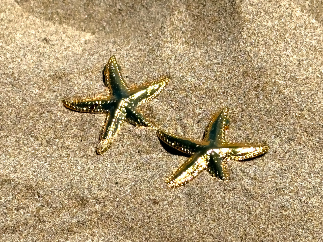 Pendientes Bahía