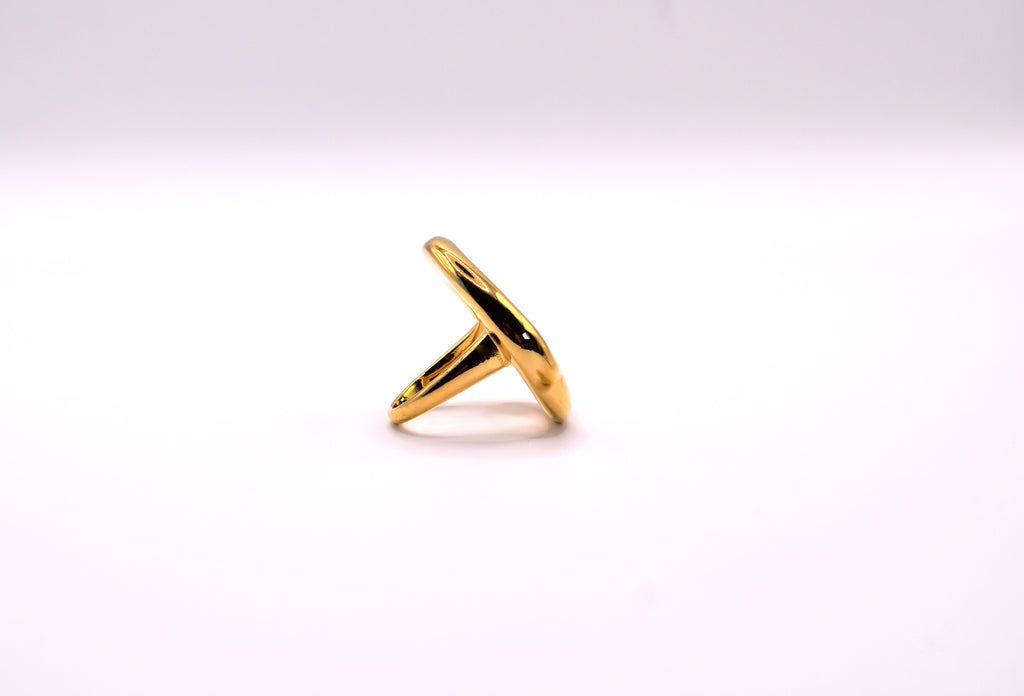 Anillo Órbita